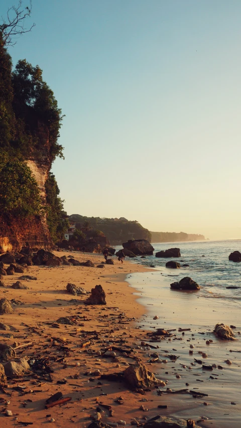 a sandy beach with water and trees