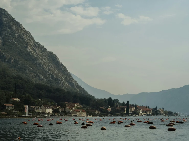 boats in the water near a mountain range