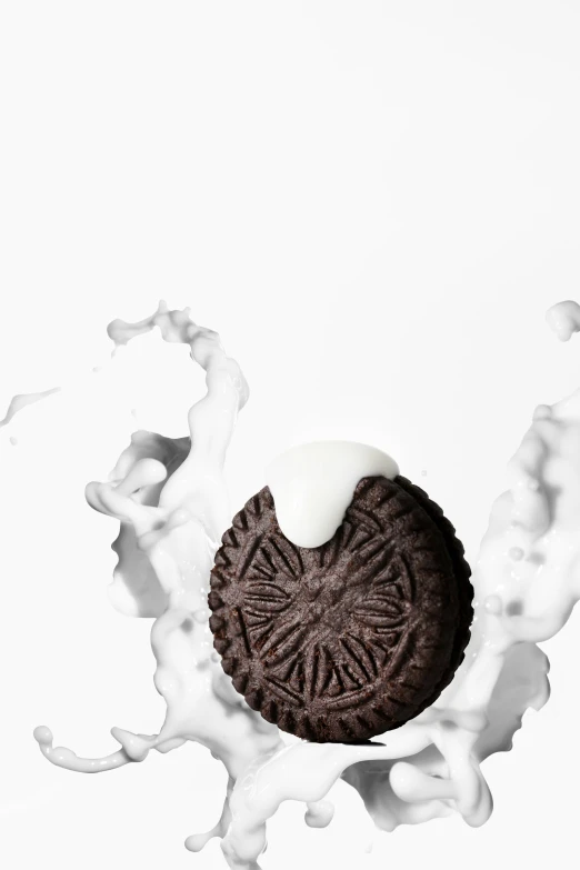 an oreo cookies is displayed on a white background
