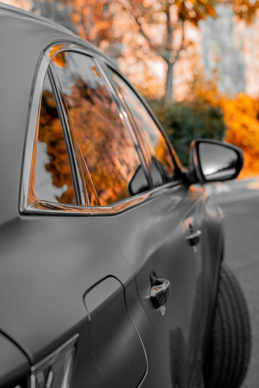 car's side view mirror reflecting trees in fall