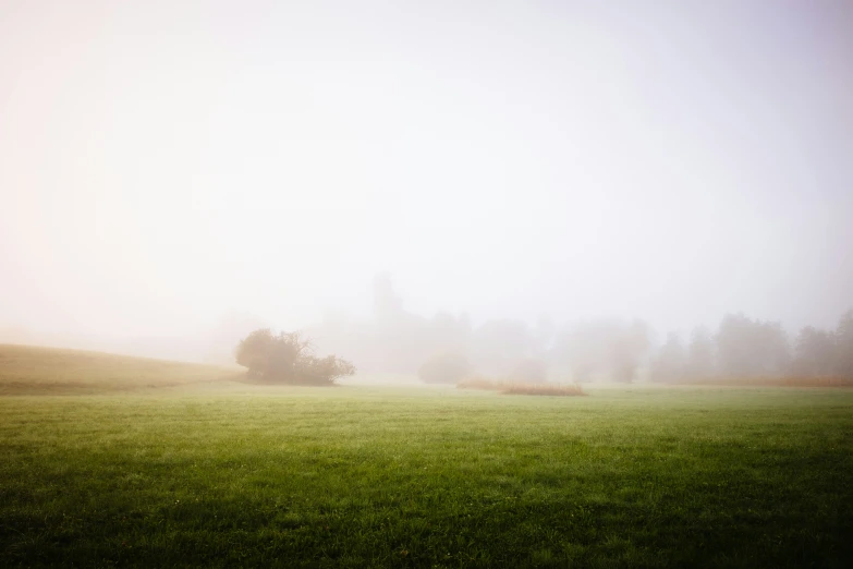 a view from a grassy meadow of a foggy field