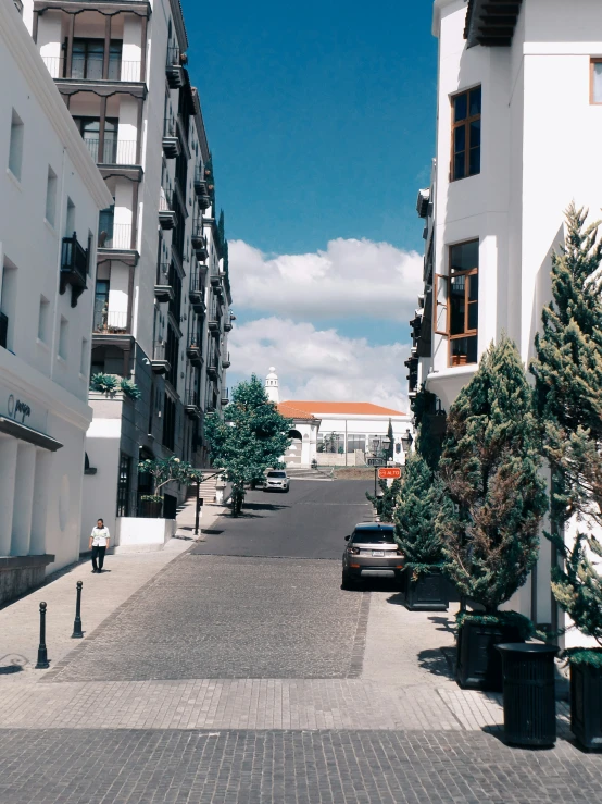 two street signs, trees and cars on either side