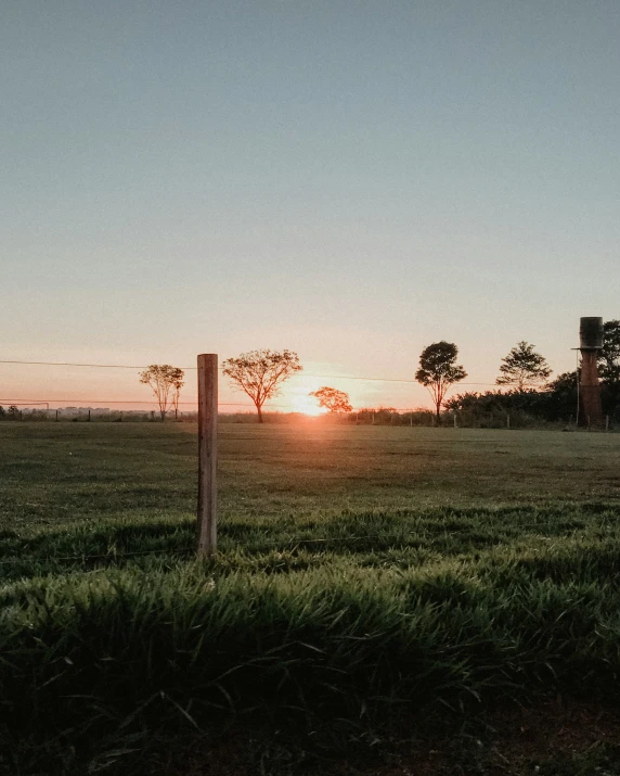 the sun rises behind the horizon over a grassy pasture