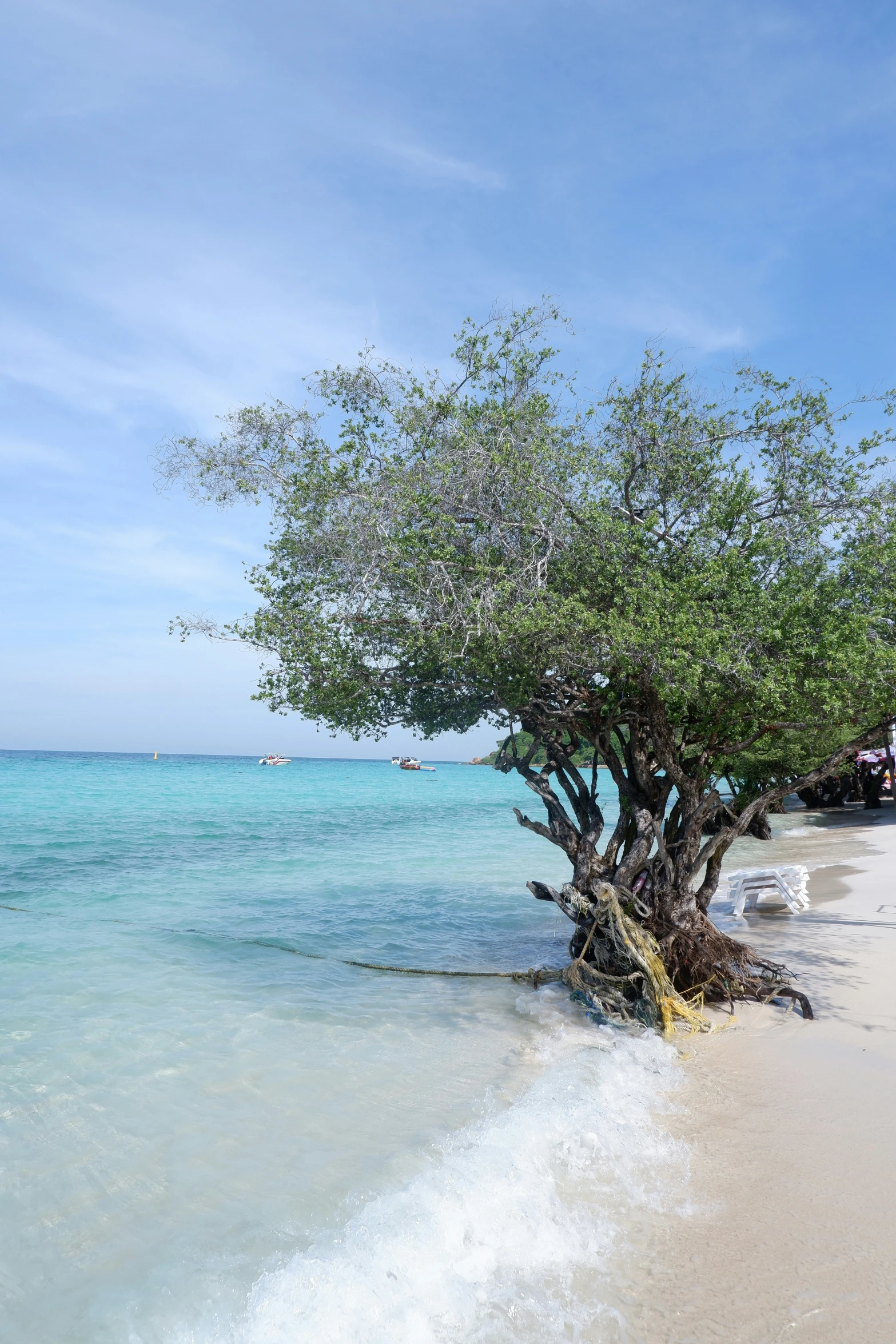 the beach is quiet with trees on both sides