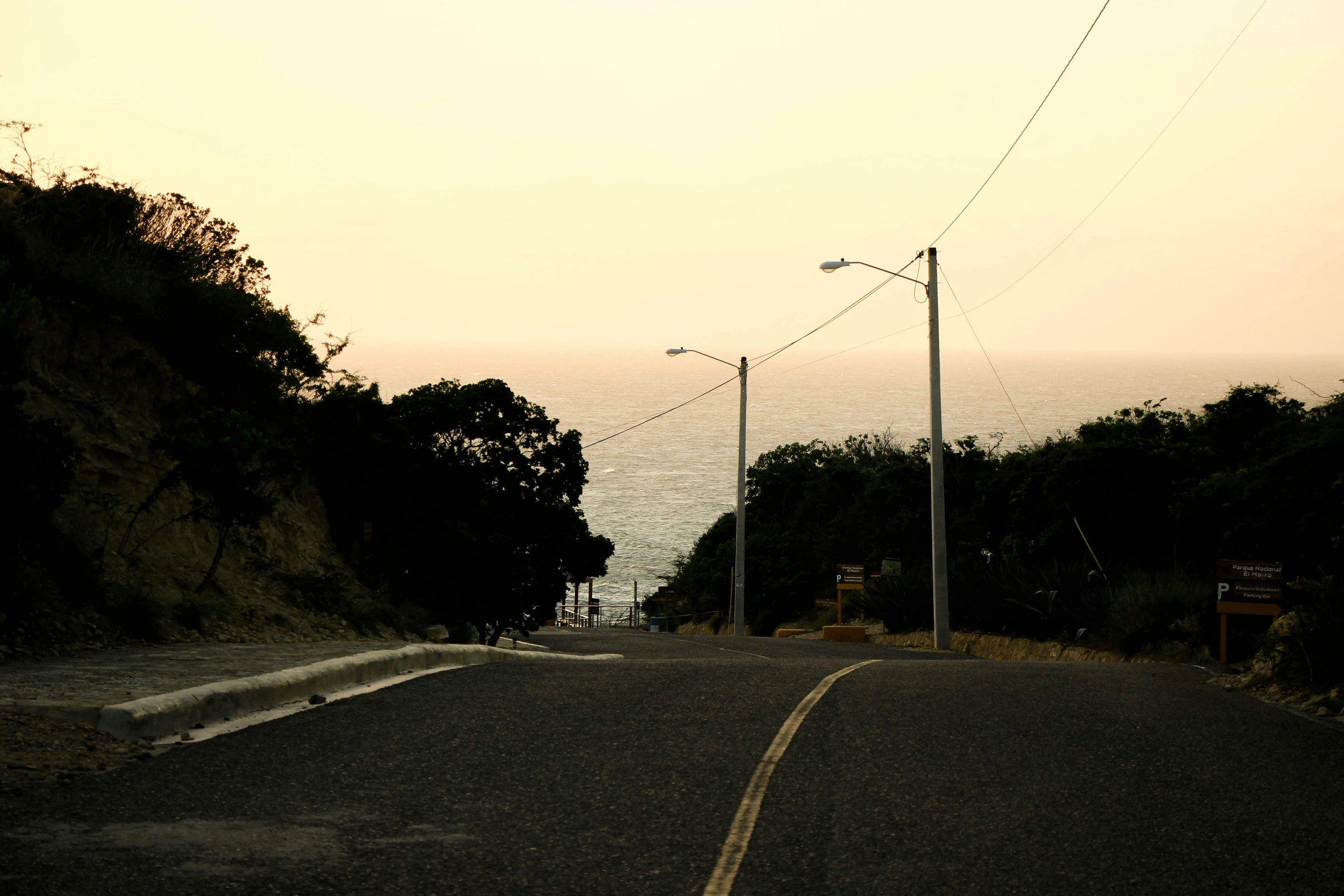 an empty road and power lines with trees on the side