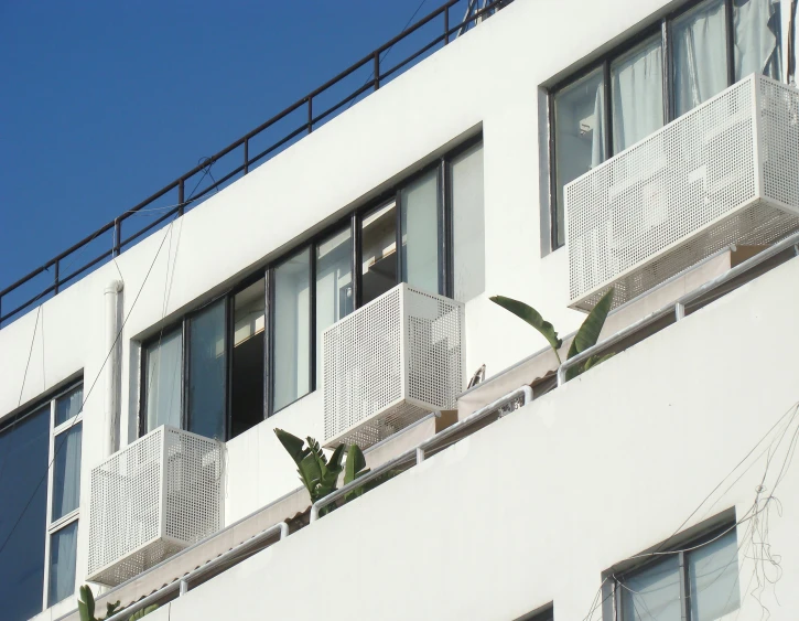 a very large white building with two plants near by