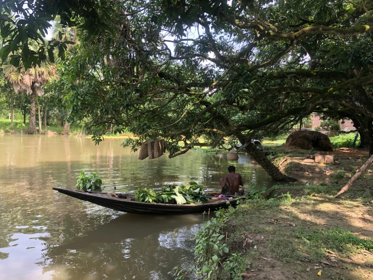 a man sitting in a small boat next to trees