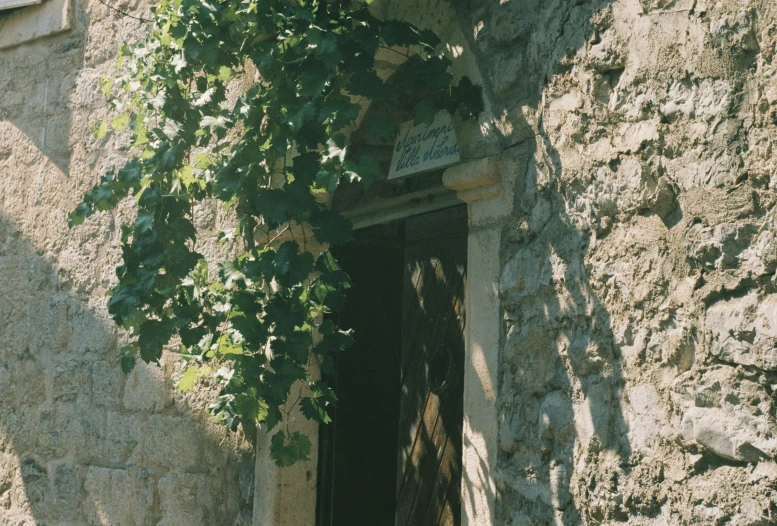 a doorway of a house surrounded by plants