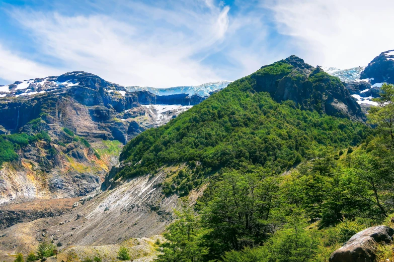 the mountains are covered with green shrubs and snow