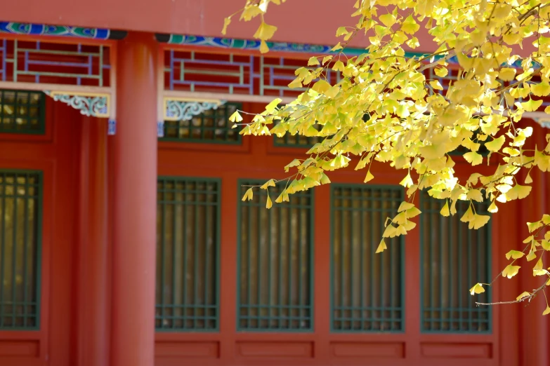 the back side of a building, with red paint and stained glass on doors