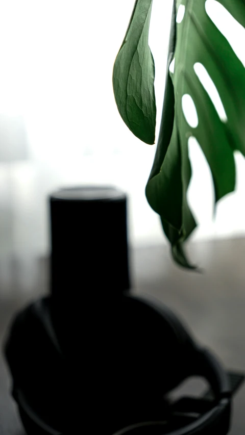 a small hat with large green leaves on it