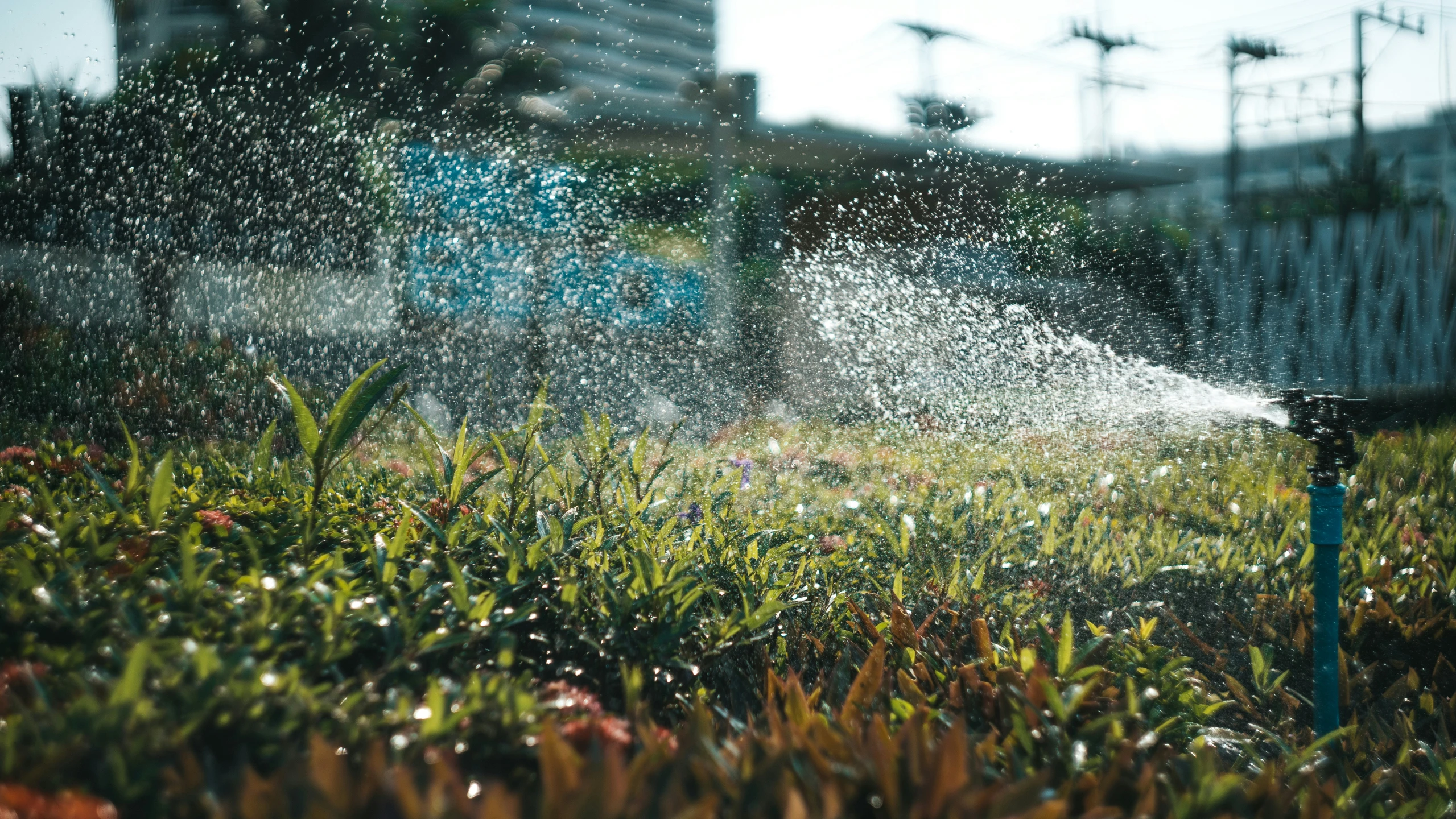 the water is spewing from a hose in the grass