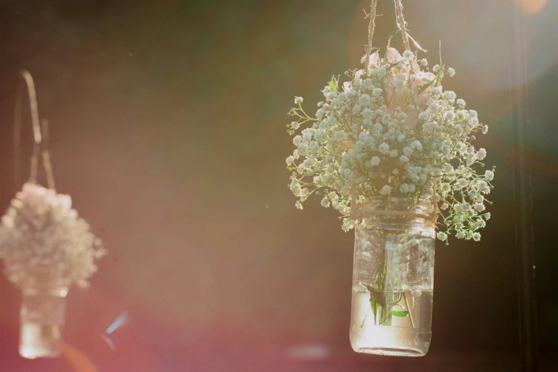 two vases with white flowers in them hanging