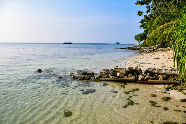 a sandy beach with small boats and palm trees