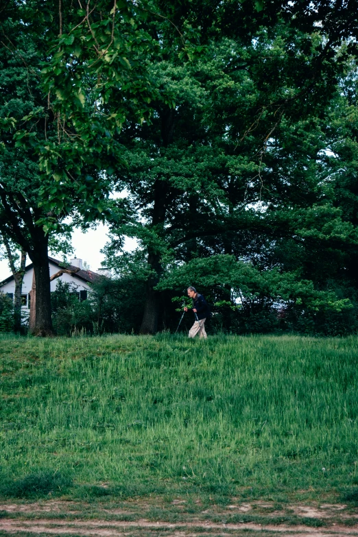 a person is walking through the grass alone