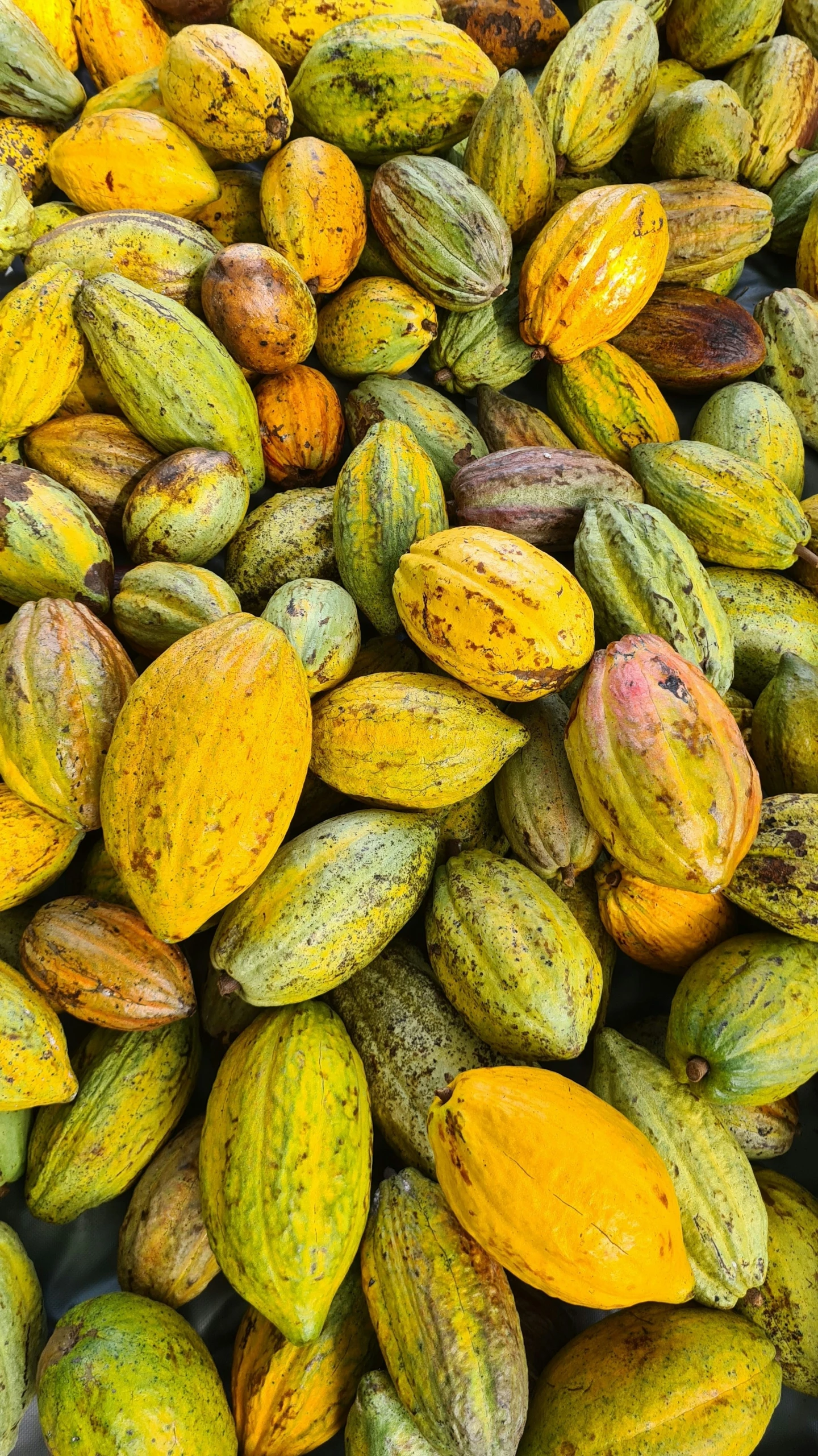 various types of nuts are piled up on a table