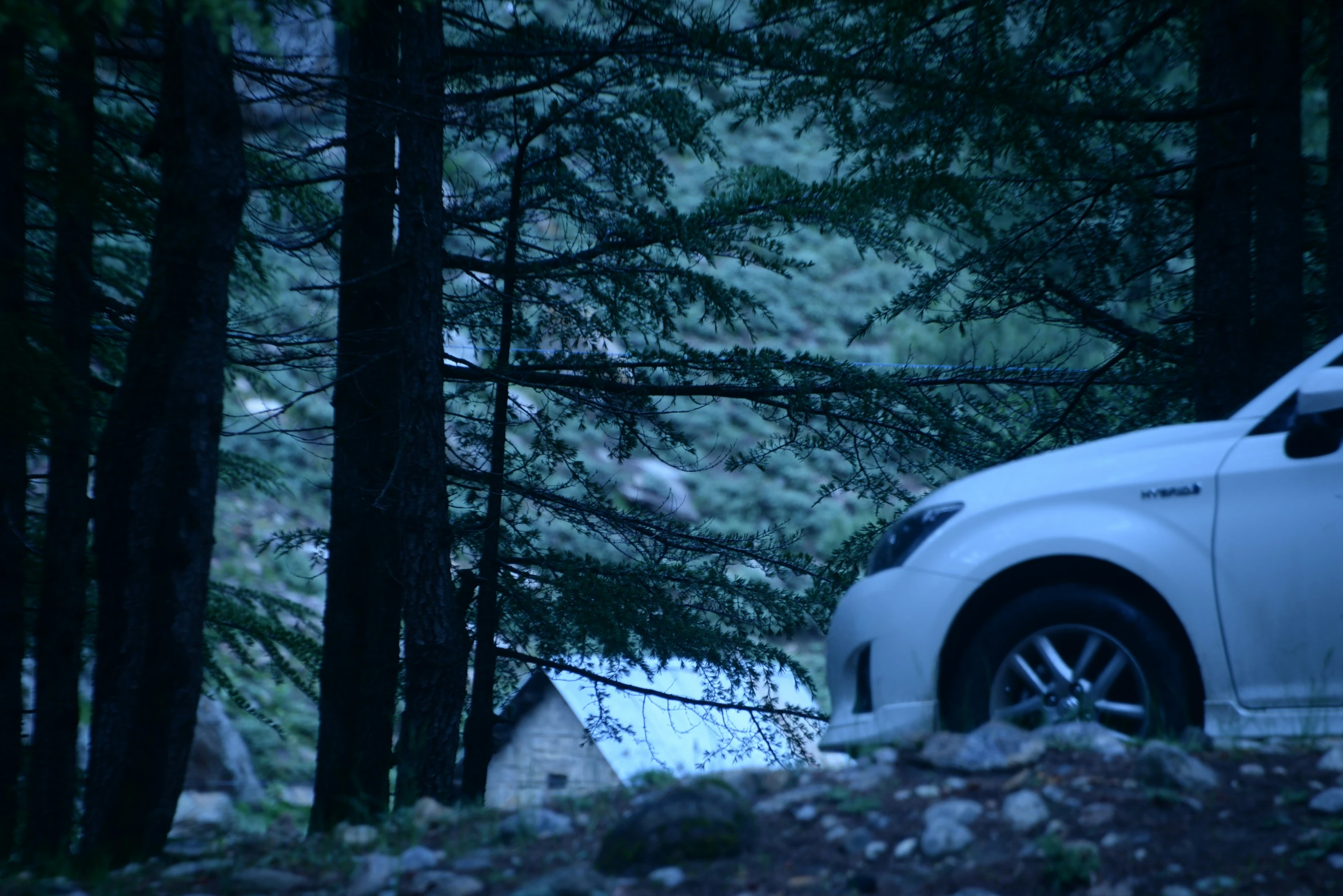 there is a white car parked by some trees