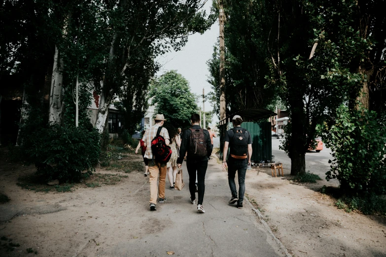 four people walking on a path surrounded by trees