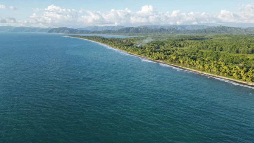 an island on the ocean with several palm trees