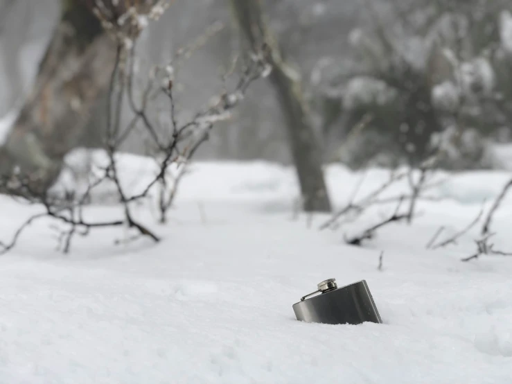 the flask is laying in the snow near two trees
