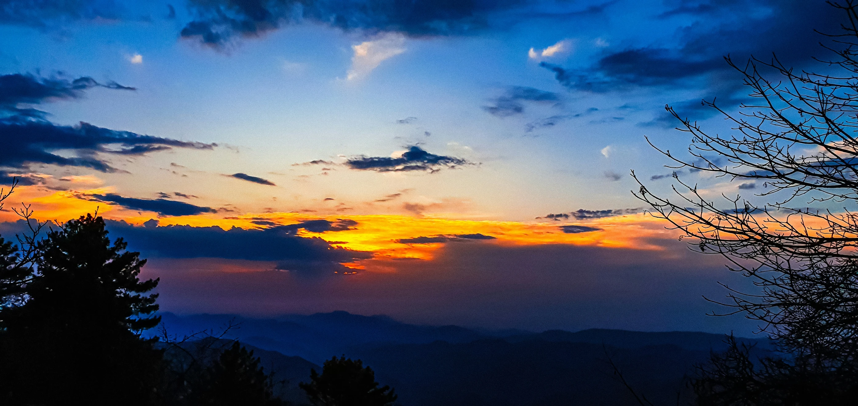 clouds in a twilight sky above some trees