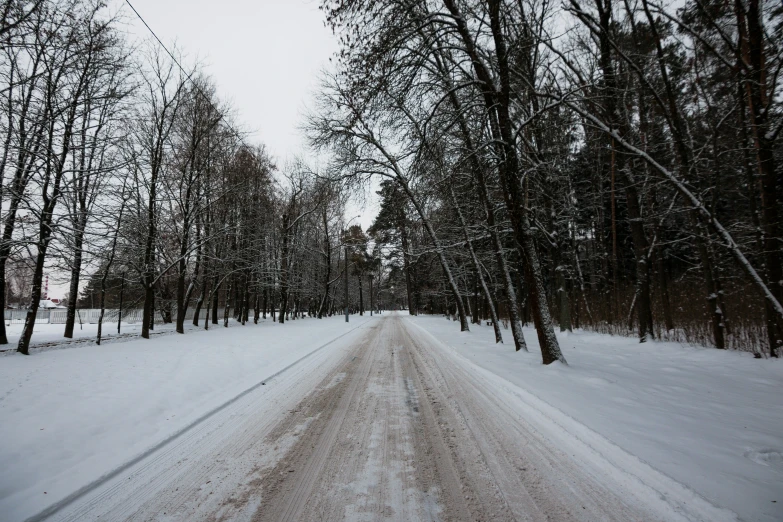 a snowy path running through a forest