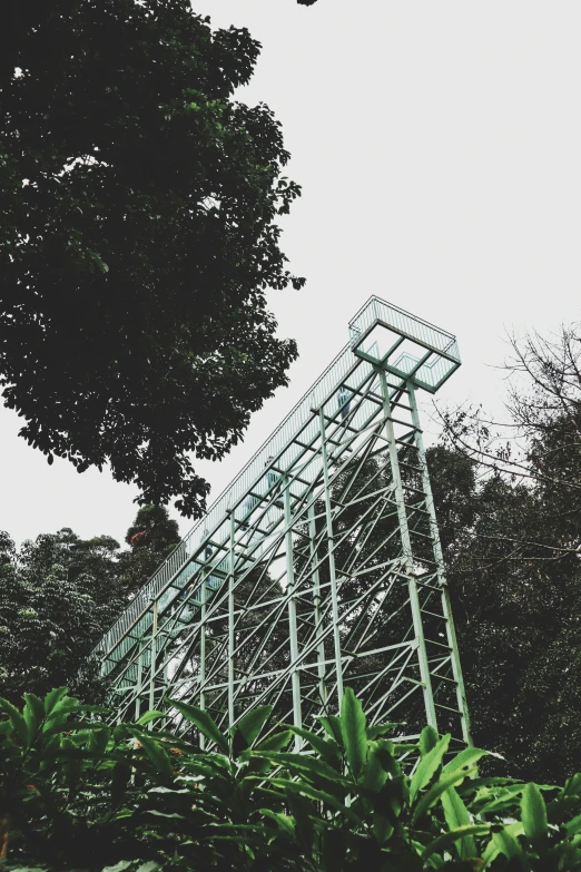 a very tall tower sitting above trees