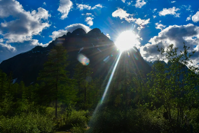 bright sunbeaming between a mountainside and trees