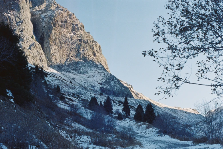 a snowy mountain that is next to some trees