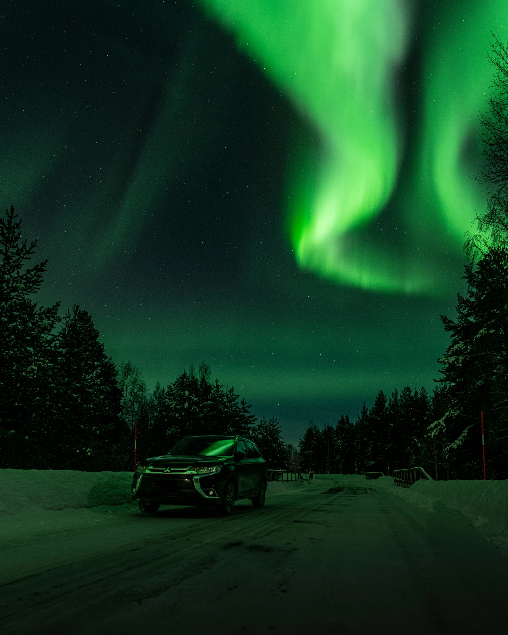 the green aurora above a forest in winter time