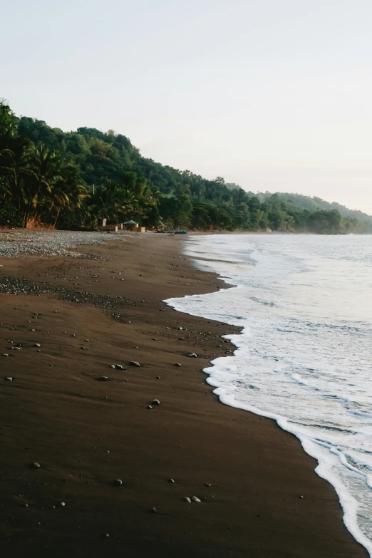 the ocean and beach with trees on both sides