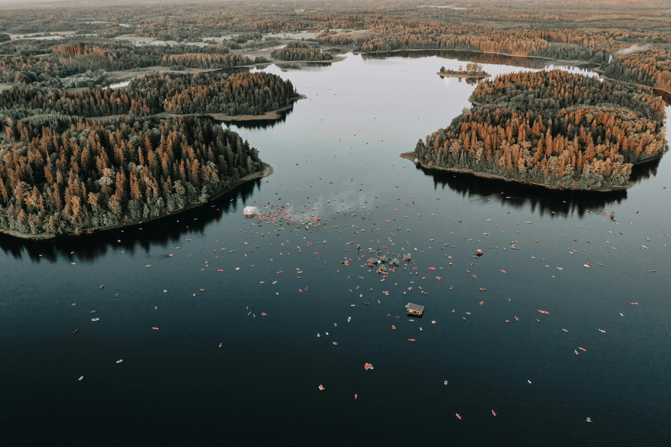 an aerial view of some very pretty trees and water