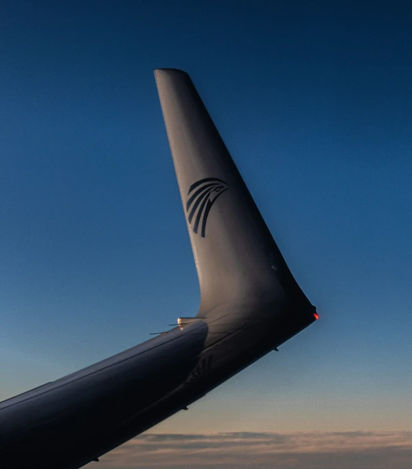 a large airplane wing with a bird perched on it's side