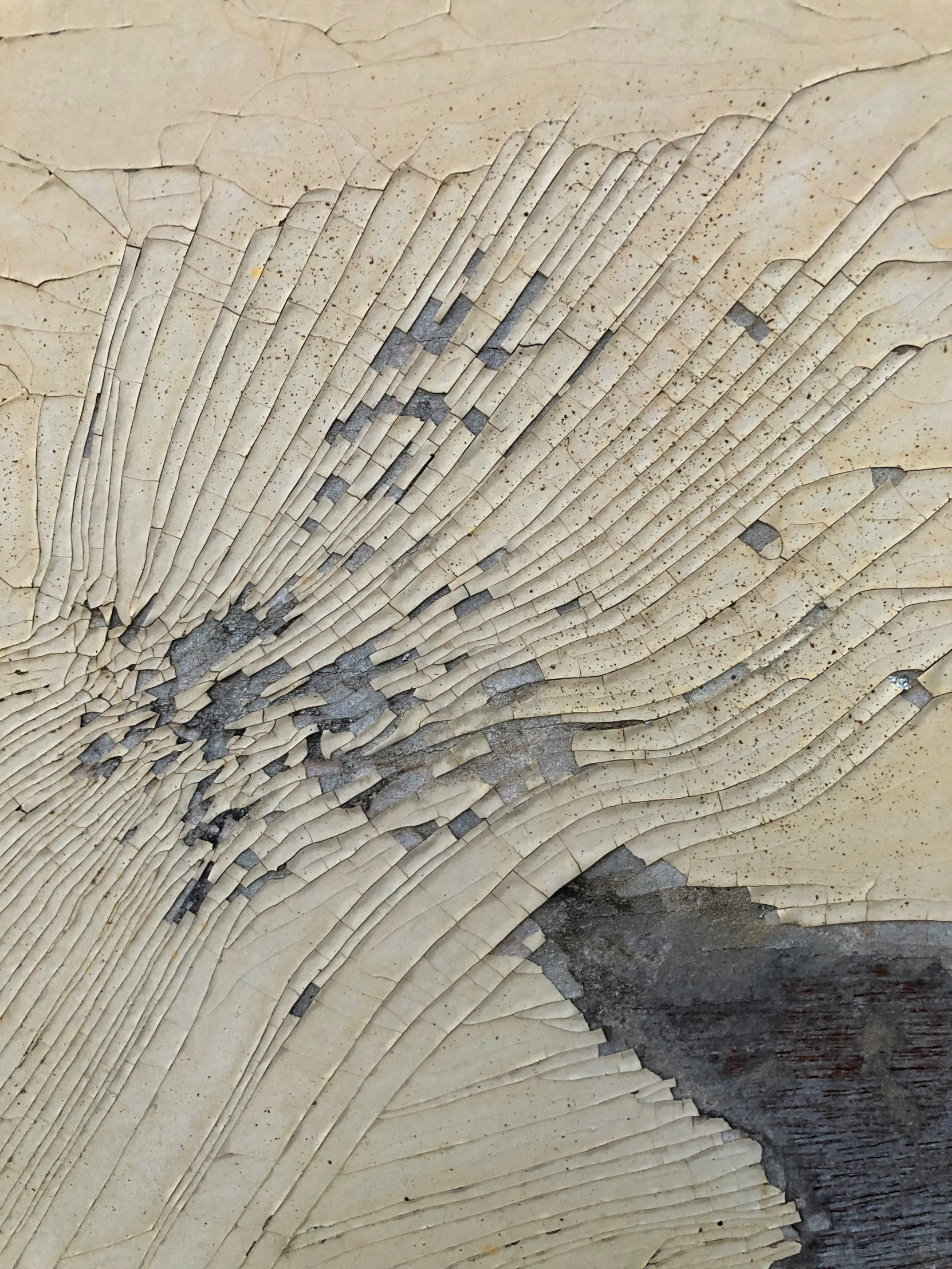 a wood plank is scratched and chipped with s