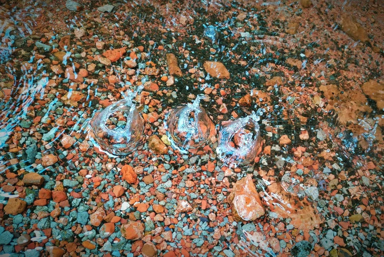 a group of leaves and rocks are in the ground