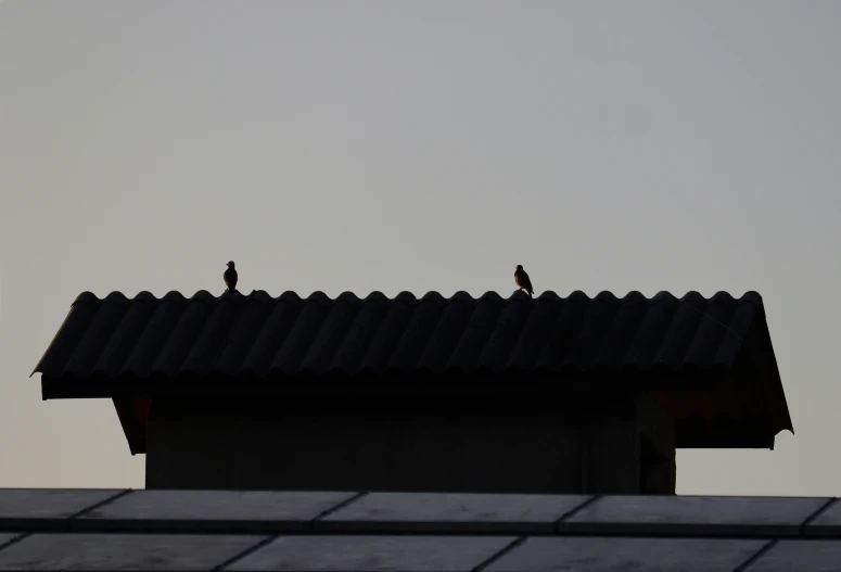 the roof of a building with some birds on it