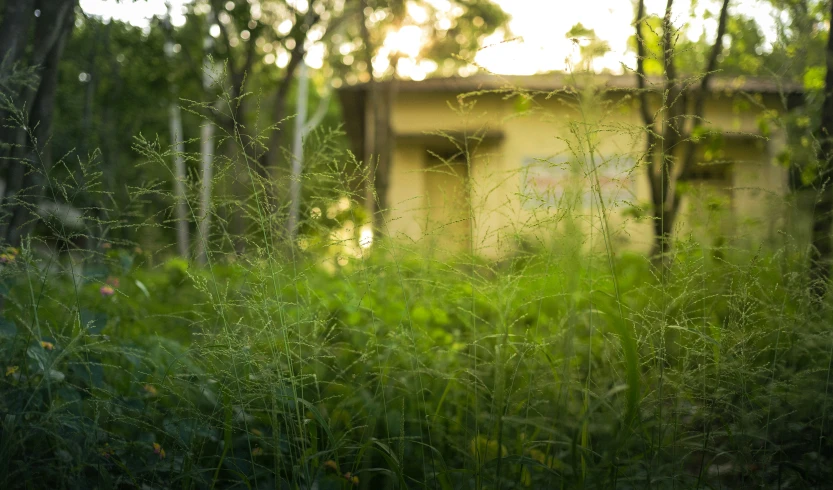 an old building in the middle of some trees