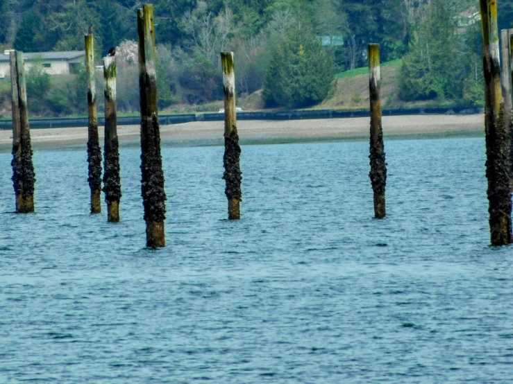 the ocean is blue with some brown pillars sticking out