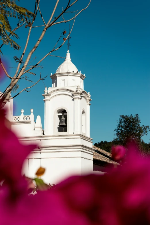 a white clock tower sitting next to flowers