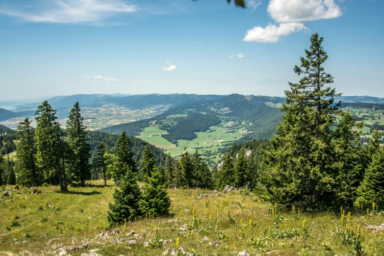 mountains can be seen in the distance and a meadow is nestled between them