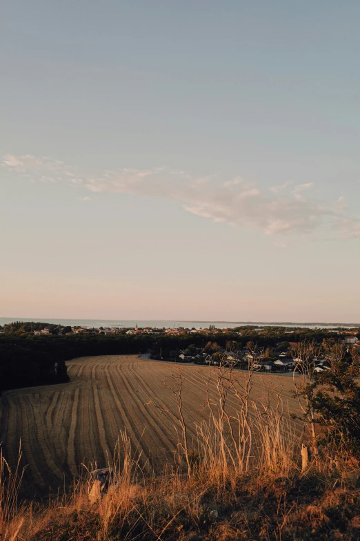 a large field with a line of bushes and trees in the distance