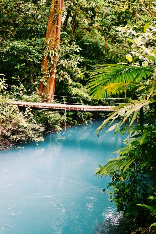 an image of a stream in the woods