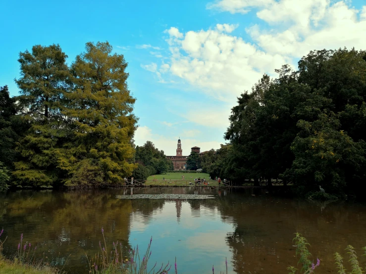 the pond is surrounded by trees and other greenery