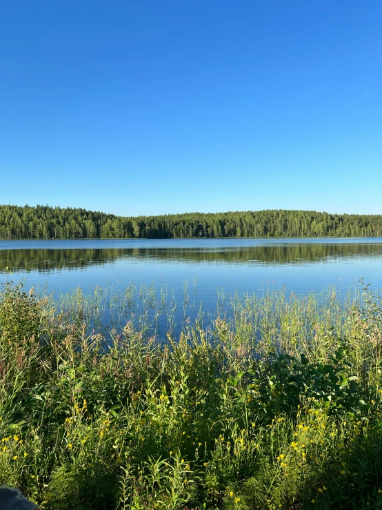 the lake is calm and clear with some trees on the shore