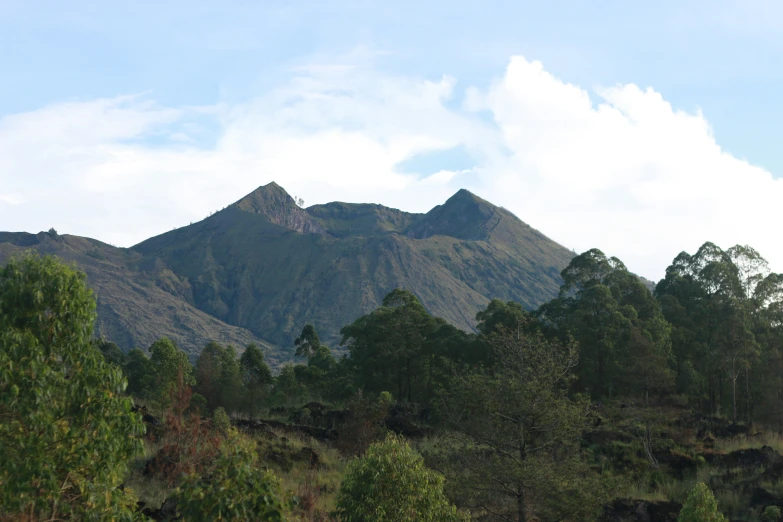 a mountain range, with a bunch of trees in the foreground