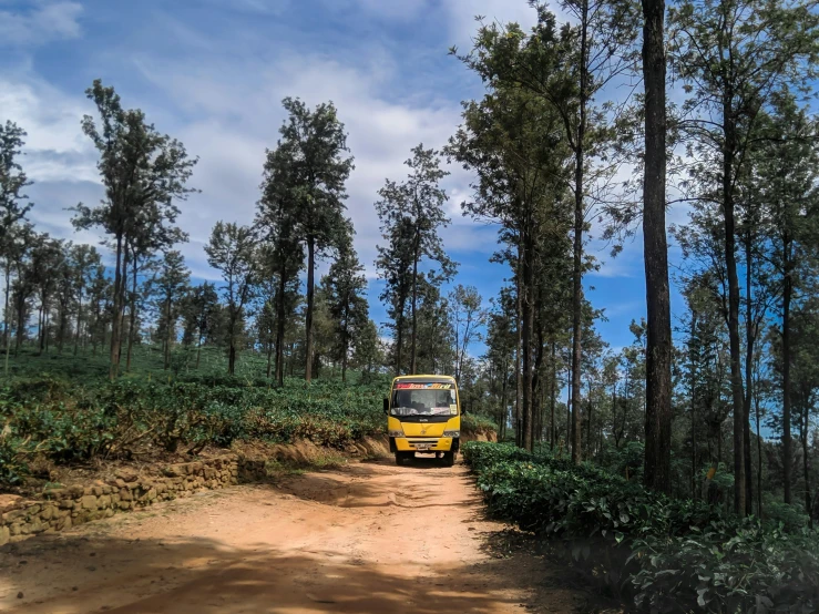 a bus driving down a dirt road in the woods