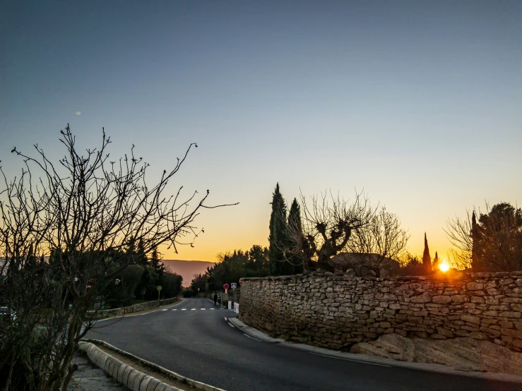 a very pretty street at sunset with some very pretty trees