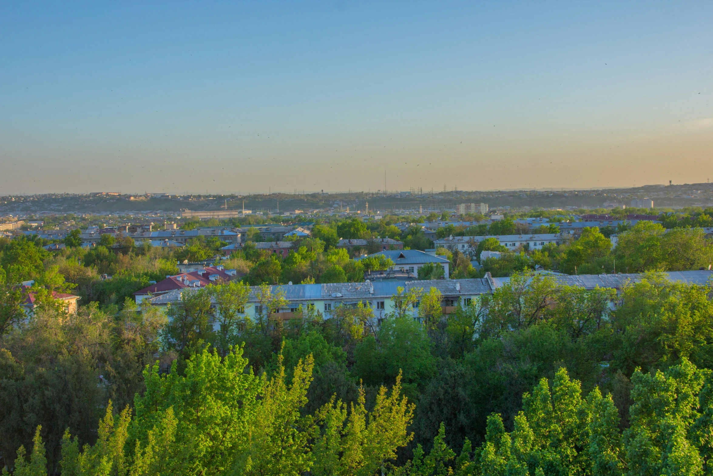 some trees and buildings are behind a fence