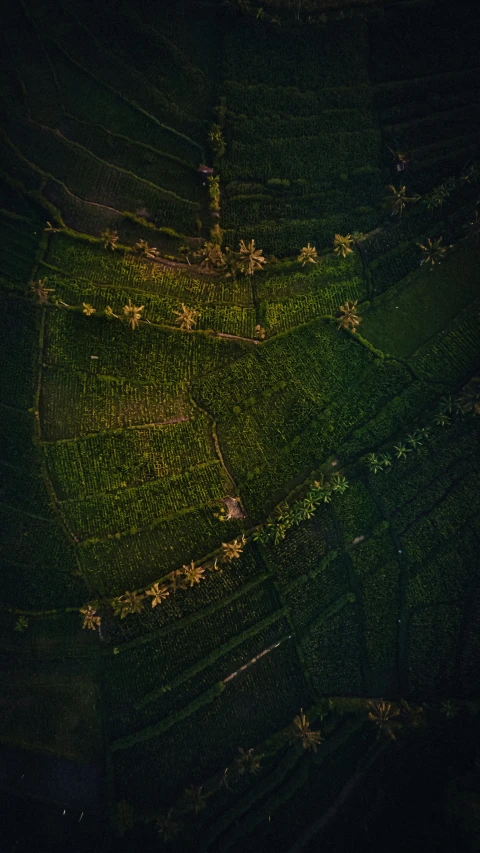 a dark sky is seen over an open field