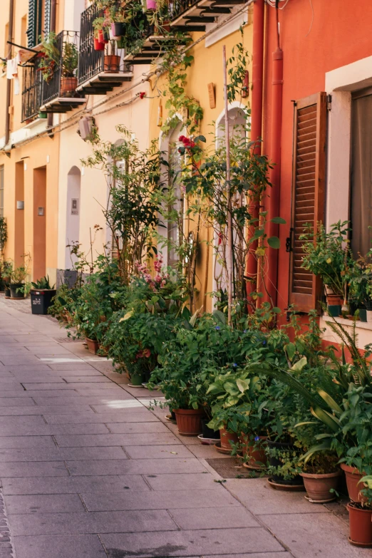 many planters with colorful plants are on the side of a building